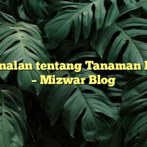 Pengenalan tentang Tanaman Bonsai – Mizwar Blog